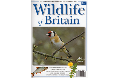 © Oliver Smart/Wildlife of Britain